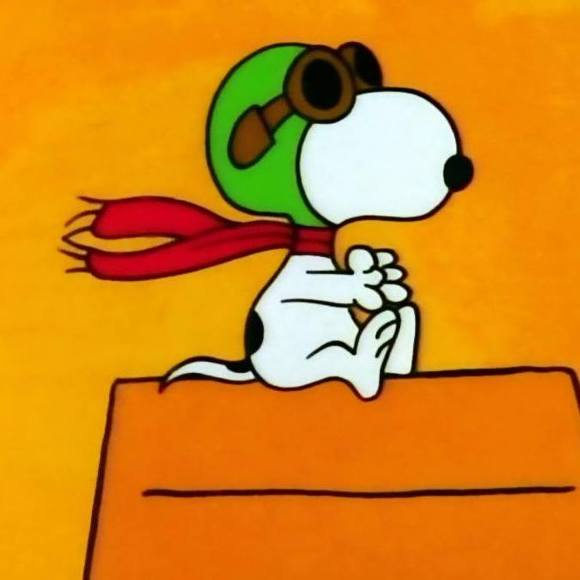 Meet your Posher, Ben - Picture 1 of 1